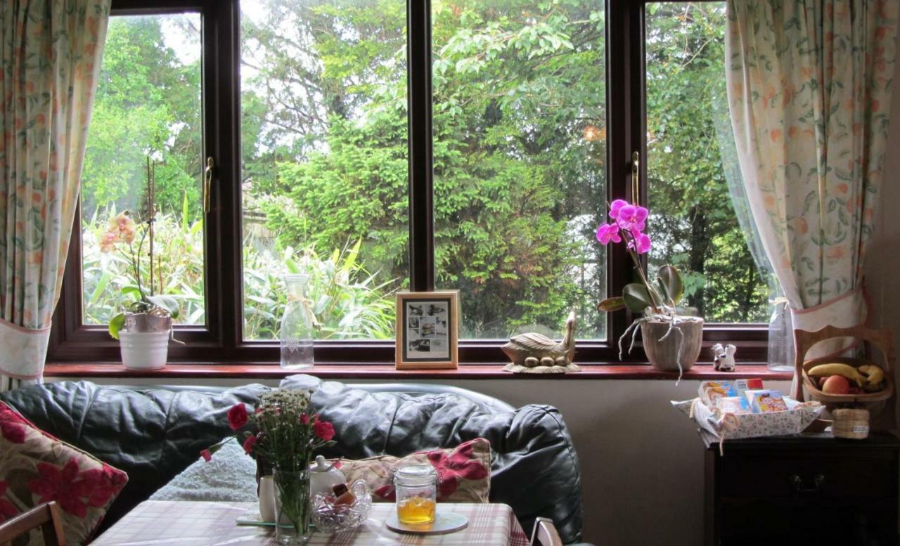 Heathergate Cottage Dartmoor BnB Lydford Buitenkant foto